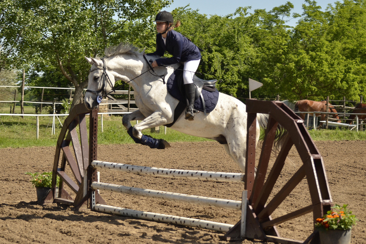 Hírek a Füle Tanya háza tájáról