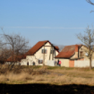 Száraz növényzet égett