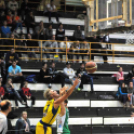CEGLÉDI EKK – CMB CARGO GYŐR 66–74
