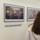 AbrakaVadra - Hartyányi Norbert kiállítása