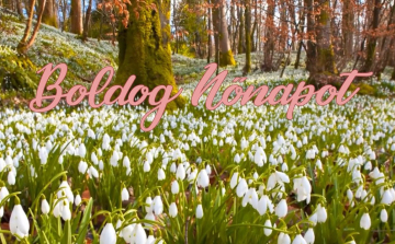 Cegléd város nőnapi köszöntője