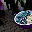 Karácsonyfa díszítő verseny