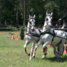 IX. Bor és Laskafesztivál - IV. Ceglédi Vágta