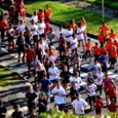 Megyei futó- és gyalogló nap