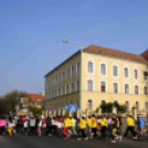 ,,Megyénk körül - megyünk körül''