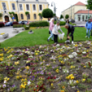 Ments meg egy árvácskát!