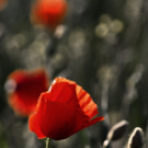 ,,Tudom e mérni a mérhetetlent’’