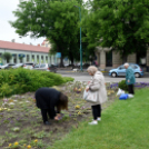 Ments meg egy árvácskát!