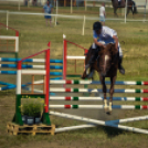 II. Ceglédi Vágta - kísérő rendezvények