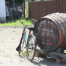 Városi Nyitott Pince Napok 2013