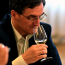 Város Bora választás 2016