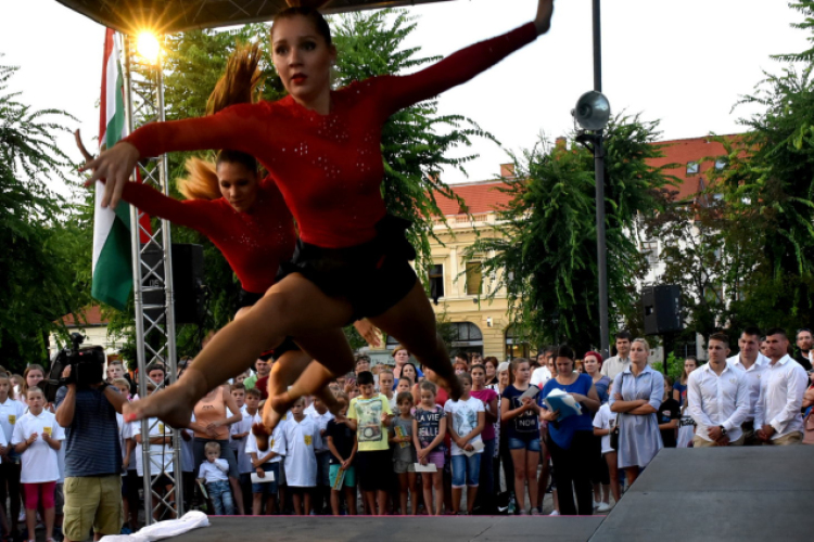 Olimpikonok köszöntése