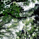 Református nevelőszülők találkoztak Cegléden