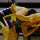 Birkózó Csapat Bajnokság - Visszavágó