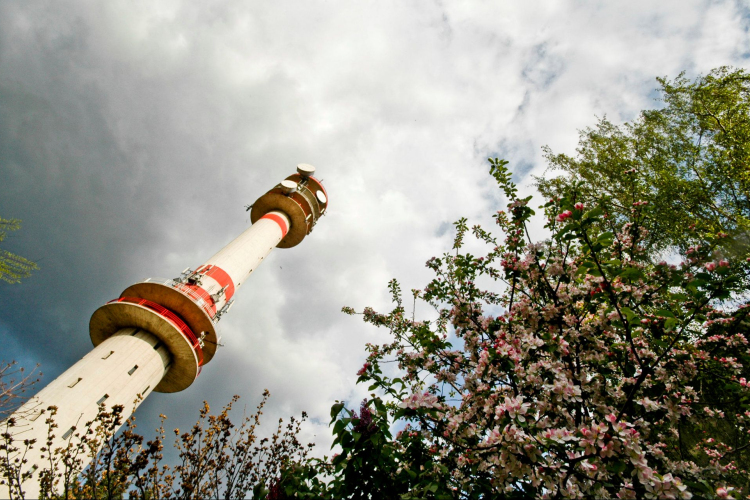 Igaz történetek Ceglédről