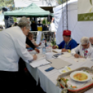 Virágvásár és főzőfesztivál Csemőben