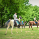 Lovasfelvonulás - Kövesdy Farm Lovasklub