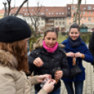 Karácsonyfa díszítő verseny