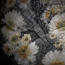 ,,Tudom e mérni a mérhetetlent’’