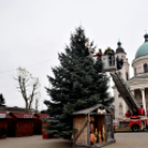 🎄 Holnap nyílik a Ceglédi Advnet 🎄