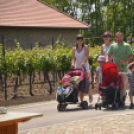 Nyitott Pince Napok - Kökény és Fia Családi Borászat