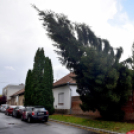 Októberi orkán Cegléden