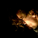 Petrik G. Band koncert