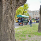 Szerenádoztak a gimisek