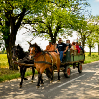 Nyitott Pince Napok - Kökény és Fia Családi Borászat