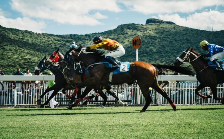 Lóverseny közvetítés a tökéletes élményért