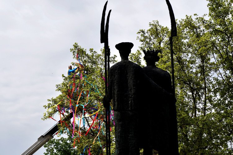 A város májusfája