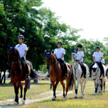 II. Ceglédi Vágta - Kisfaludi István fotói