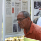 A ceglédi bombatámadás áldozataira emlékeztek