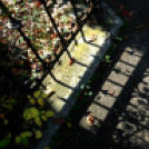 Halló Cegléd! - itt-ott