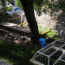 Városi Strandfürdő - Ledarálták az 50-est