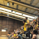 Cegléd-BKSE 26:28 (14:13)