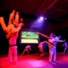 Ceglédi Judo Központ névadó ünnepség