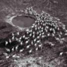 MAFOSZ kiállítás képei