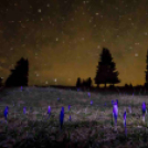 MAFOSZ kiállítás képei