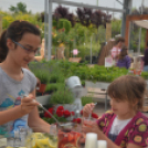 Rózsák Hétvégéje - Oázis Kertészeti Áruház