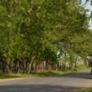 Nyitott Pince Napok - Kökény és Fia Családi Borászat