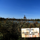 Éhmann Ferenc Horgászverseny