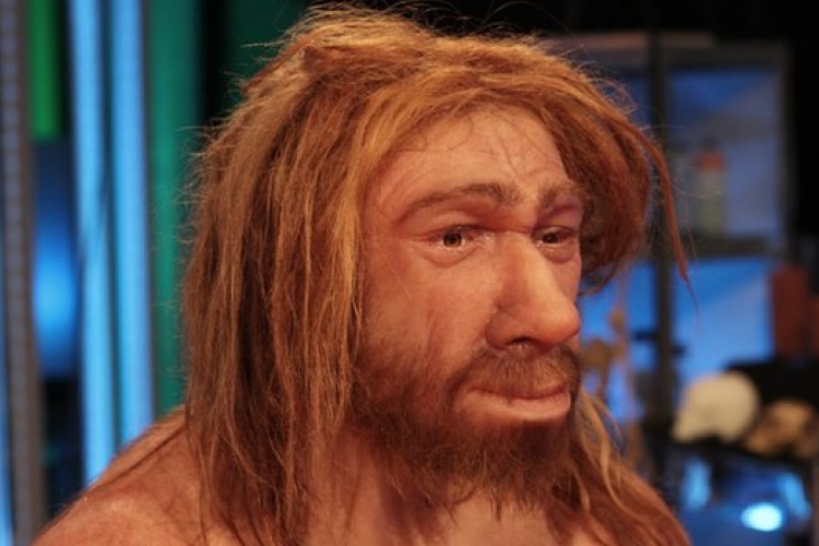 A Neander-völgyi ember is összetett nyelvet beszélt egy csontvizsgálat szerint