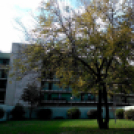 Halló Cegléd! - Kisfaludi István fotósorozata