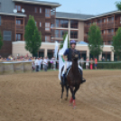 Bor és laskafesztivál - II