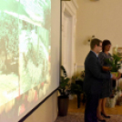 A legszebb kerteket, balkonokat és rajzokat díjazták