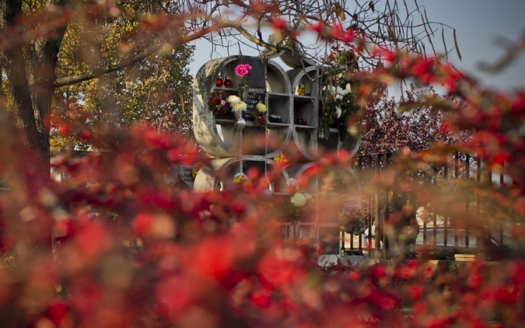 Átmeneti forgalomkorlátozások 