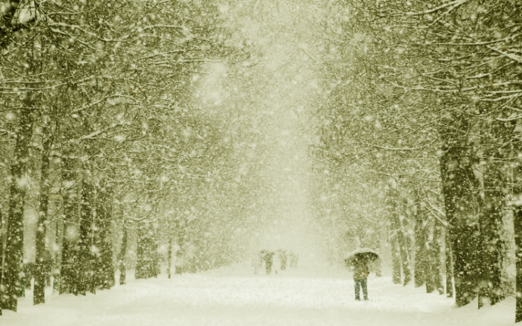 Sárga hó eshet holnap