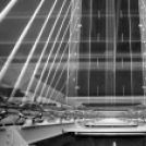 MAFOSZ kiállítás képei