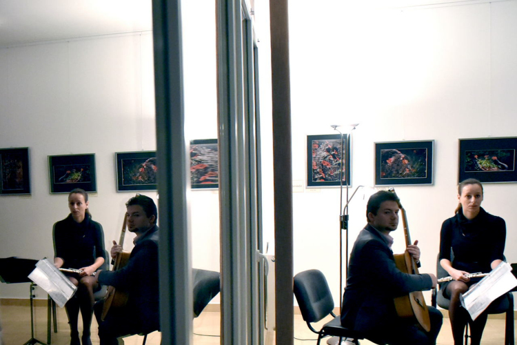 Felfüggesztett pillantásaim - Baán Katalin kiállítása Dabason 